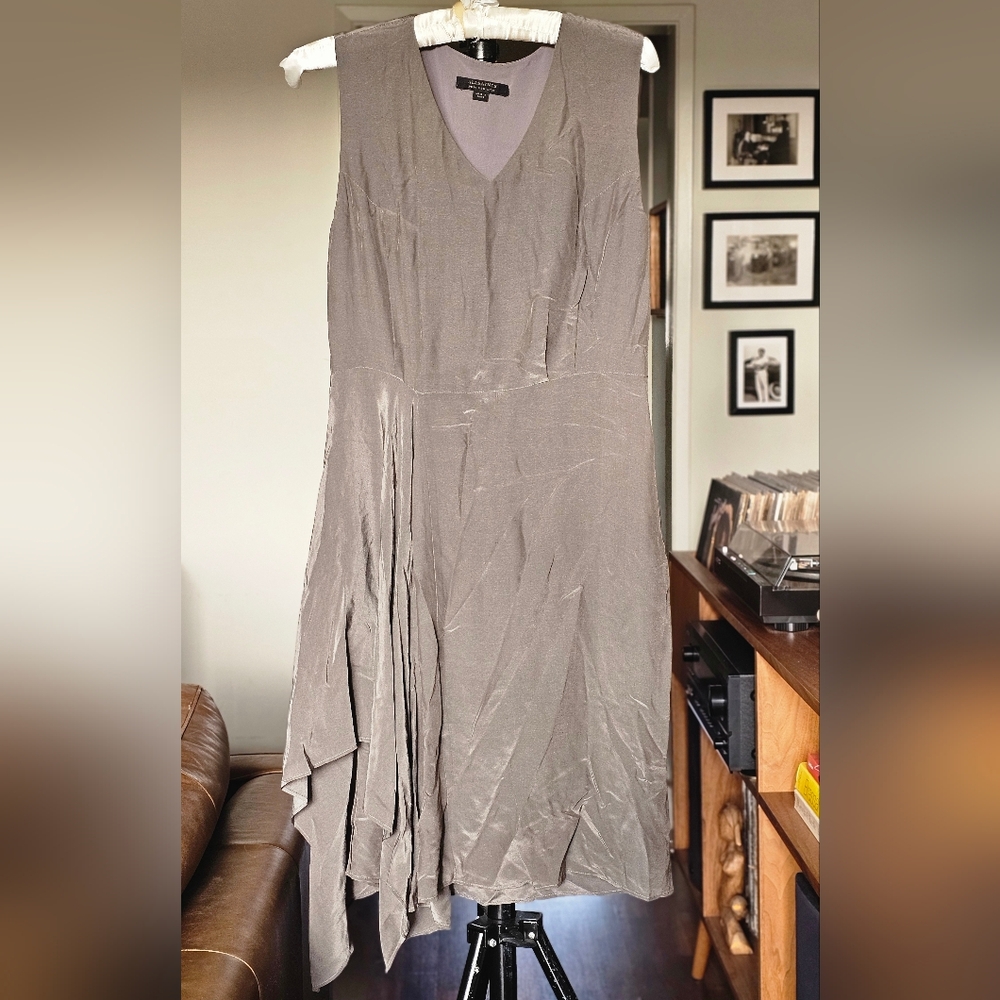 All Saints Vista Canna Silk Asymmetrical Dress